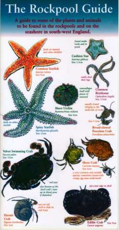 The Rockpool Guide